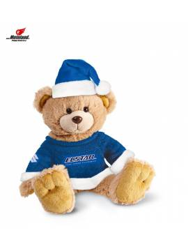 Teddy Ecstar