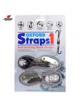 STRAPS 1