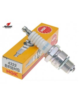Spark Plug BR8HS