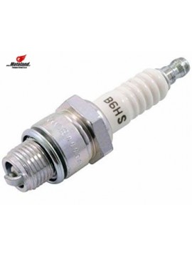 Spark Plug B6HS-10
