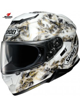 Helmet GT-Air II Conjure TC-6