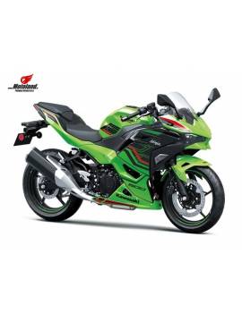 Ninja 500 Special Edition