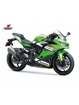 Ninja ZX-4RR