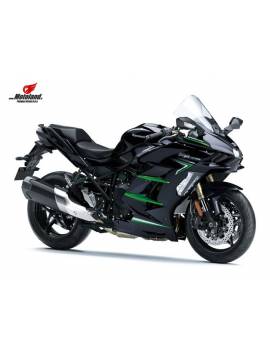 Ninja H2 SX